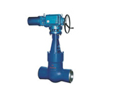 Power station Gate valve